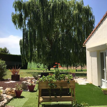 Domaine De La Vigne Bed & Breakfast Cadalen Exterior foto