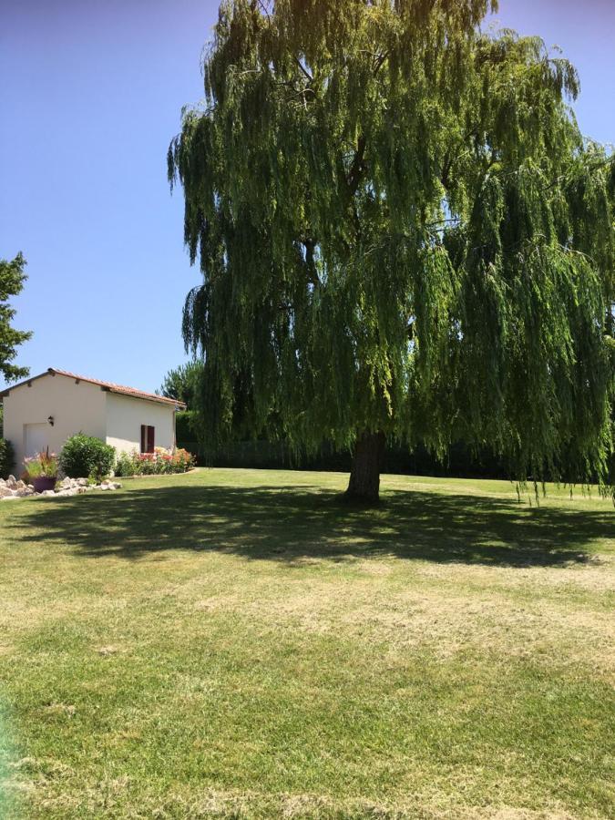 Domaine De La Vigne Bed & Breakfast Cadalen Exterior foto