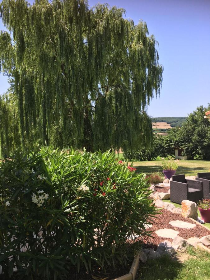 Domaine De La Vigne Bed & Breakfast Cadalen Exterior foto