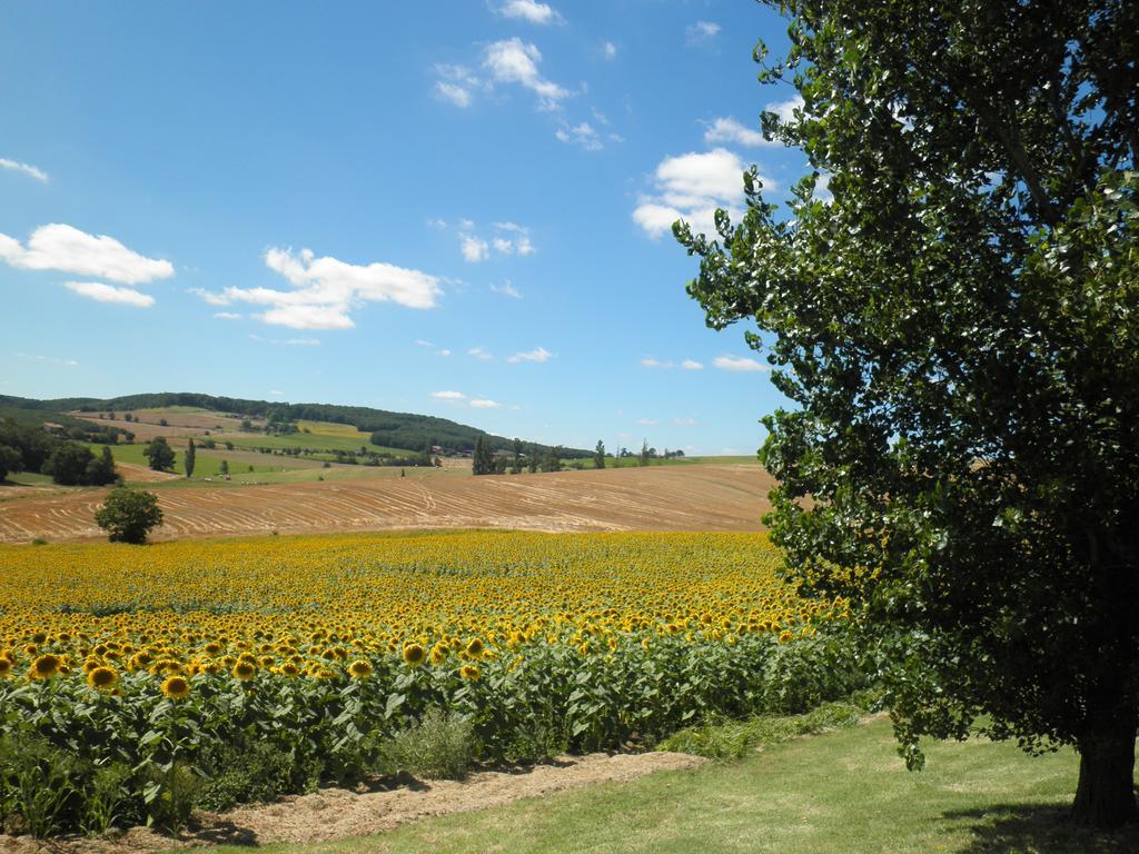 Domaine De La Vigne Bed & Breakfast Cadalen Exterior foto