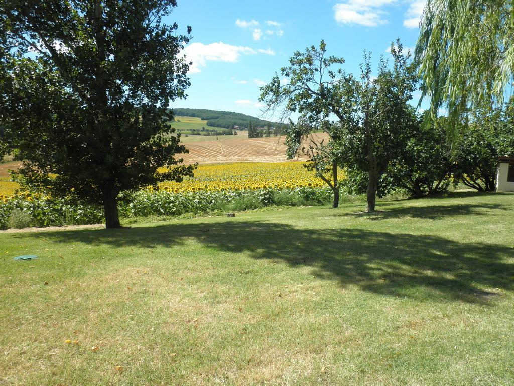 Domaine De La Vigne Bed & Breakfast Cadalen Exterior foto