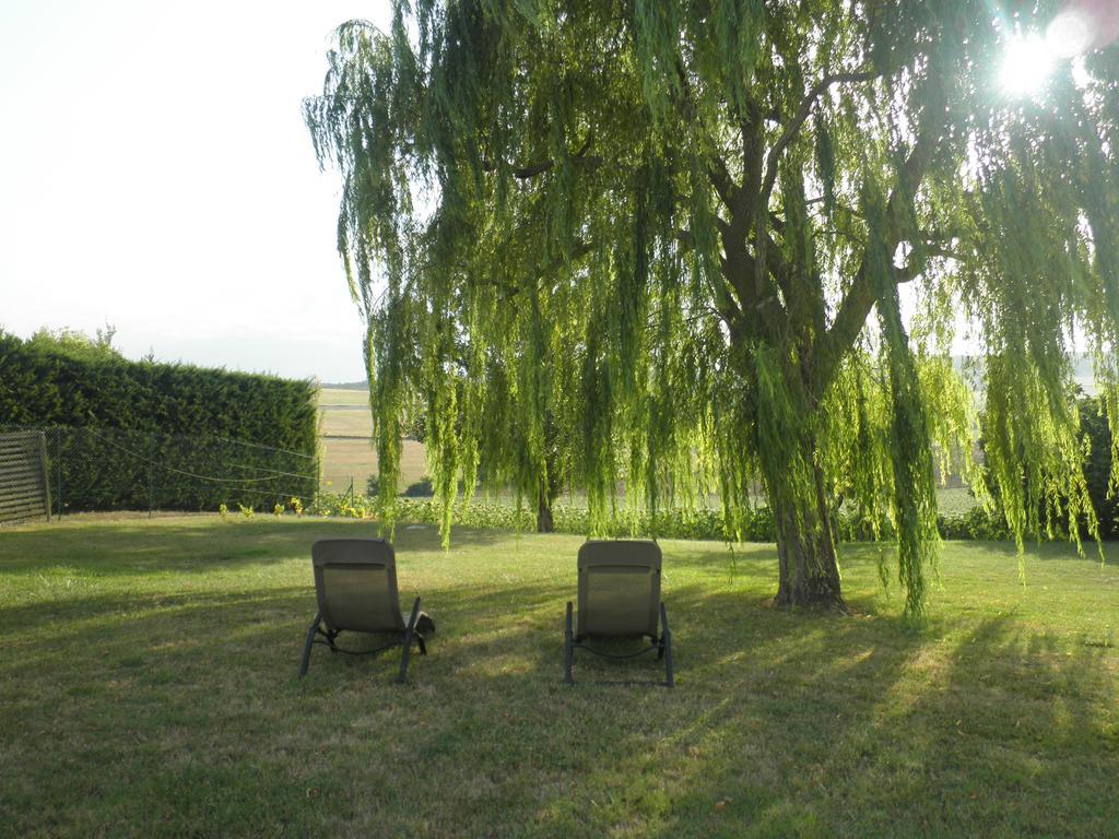 Domaine De La Vigne Bed & Breakfast Cadalen Exterior foto