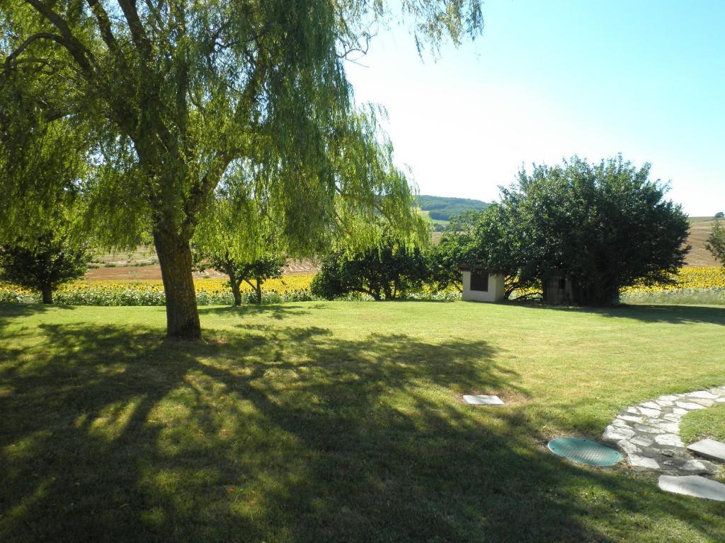 Domaine De La Vigne Bed & Breakfast Cadalen Exterior foto